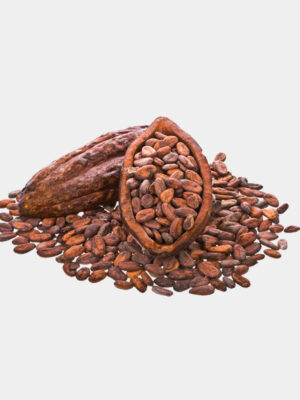 Cocoa